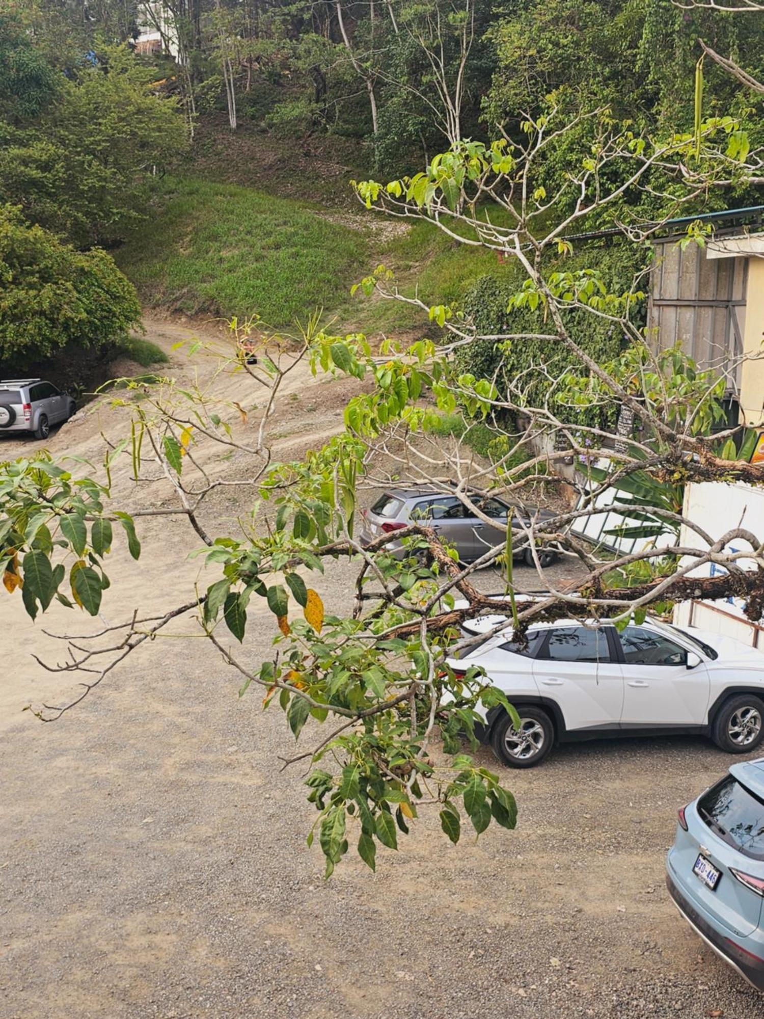 Pura Vida Apartments เกโปส ห้อง รูปภาพ